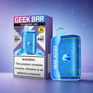 GEEK BAR PULSE X 2 - BLUEBERRY JAM
